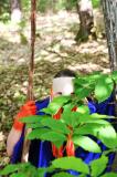 Promenons nous dans les bois 50 * 5184 x 3456 * (6.2MB)